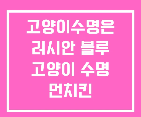 고양이수명은 러시안 블루 고양이 수명 먼치킨