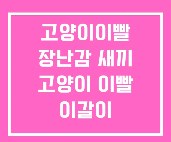 고양이이빨 장난감 새끼 고양이 이빨 이갈이