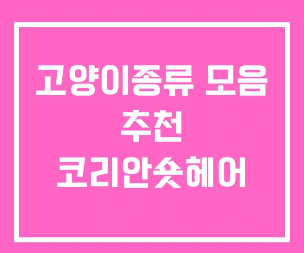 고양이종류 모음 추천 코리안숏헤어