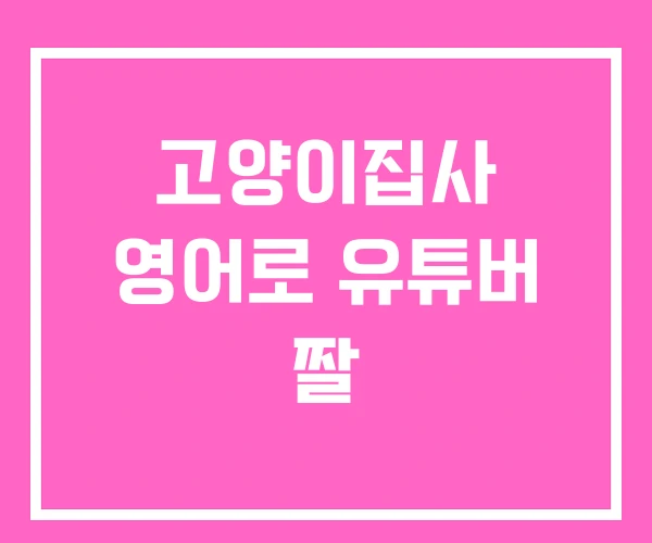 고양이집사 영어로 유튜버 짤