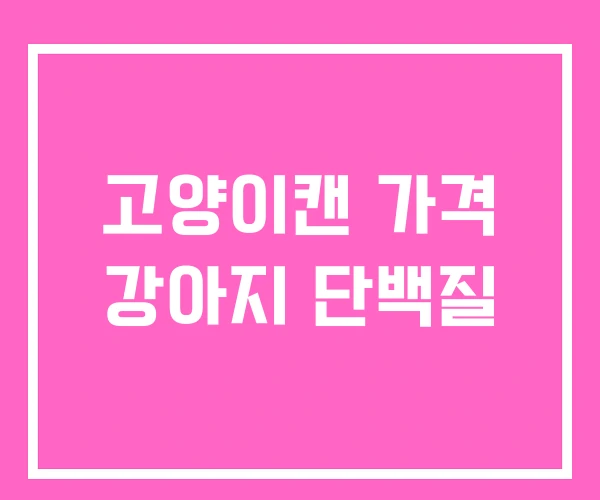 고양이캔 가격 강아지 단백질