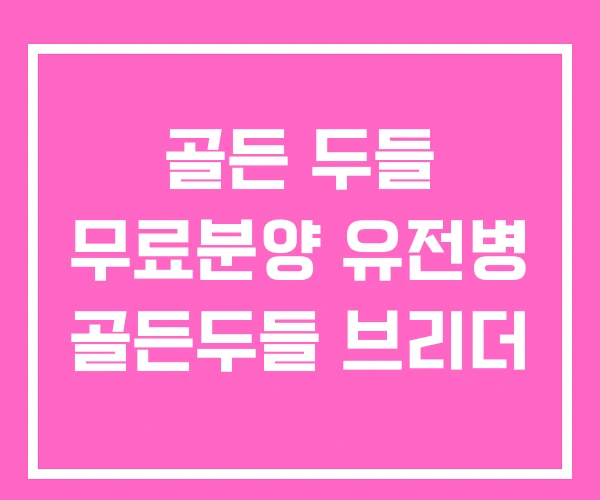 골든 두들 무료분양 유전병 골든두들 브리더