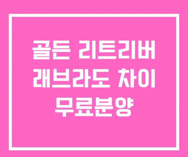 골든 리트리버 래브라도 차이 무료분양