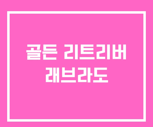 골든 리트리버 래브라도