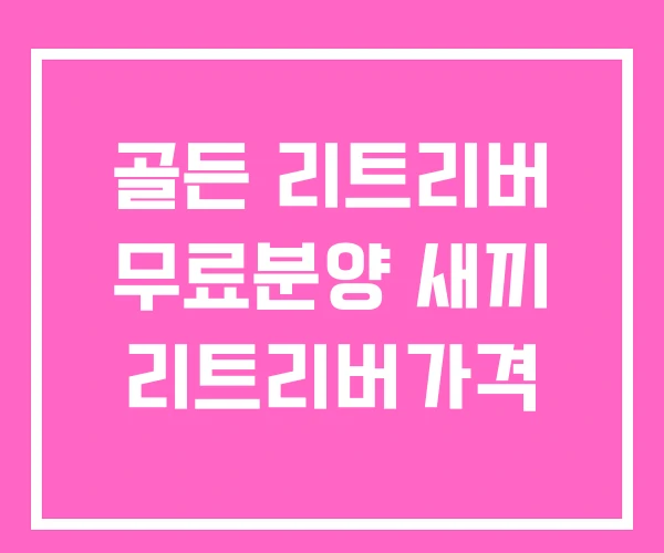 골든 리트리버 무료분양 새끼 리트리버가격
