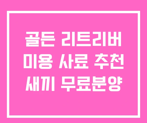 골든 리트리버 미용 사료 추천 새끼 무료분양