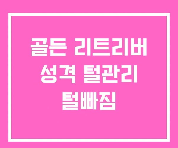 골든 리트리버 성격 털관리 털빠짐 골든 리트리버 성격 털관리 털빠짐