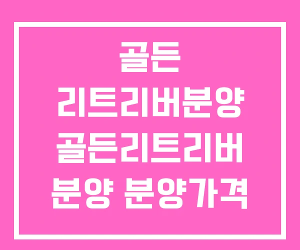 골든 리트리버분양 골든리트리버 분양 분양가격