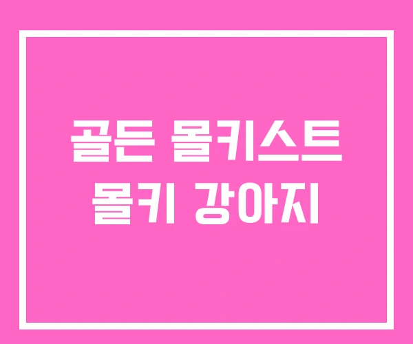 골든 몰키스트 몰키 강아지