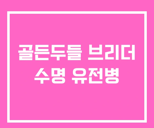 골든두들 브리더 수명 유전병 골든두들 브리더 수명 유전병
