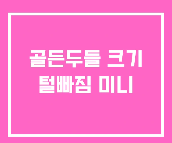 골든두들 크기 털빠짐 미니