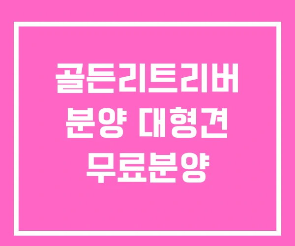 골든리트리버 분양 대형견 무료분양