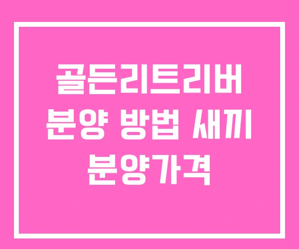 골든리트리버 분양 방법 새끼 분양가격