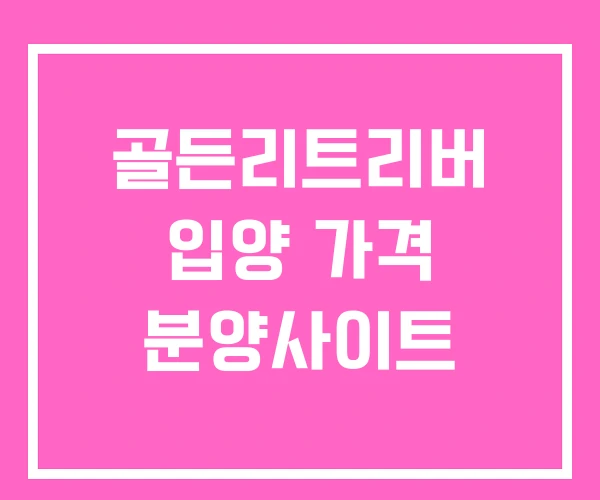 골든리트리버 입양 가격 분양사이트 골든리트리버 입양 가격 분양사이트