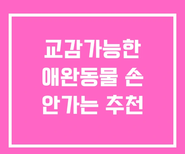 교감가능한 애완동물 손 안가는 추천