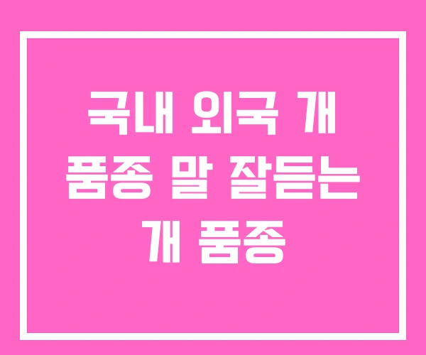 국내 외국 개 품종 말 잘듣는 개 품종