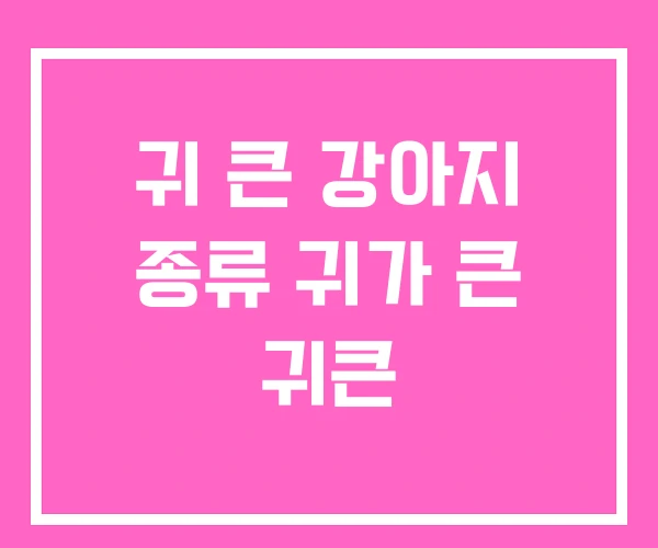 귀 큰 강아지 종류 귀가 큰 귀큰