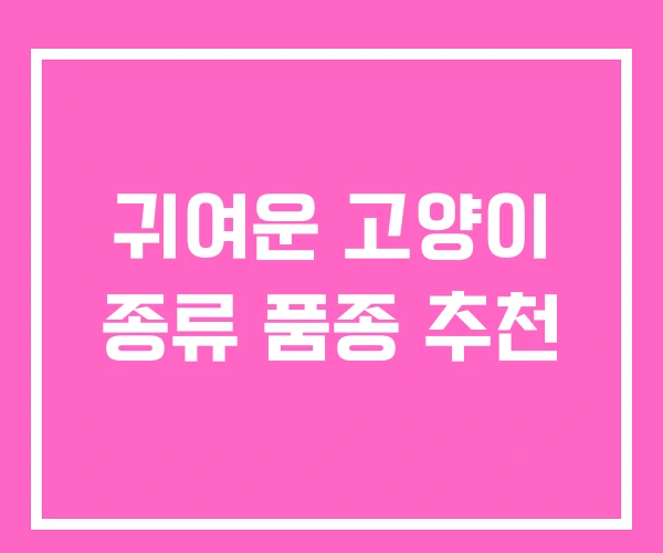 귀여운 고양이 종류 품종 추천