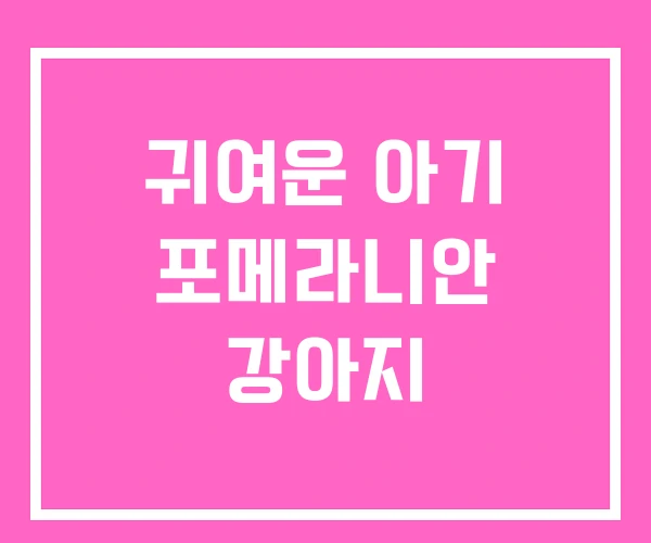 귀여운 아기 포메라니안 강아지