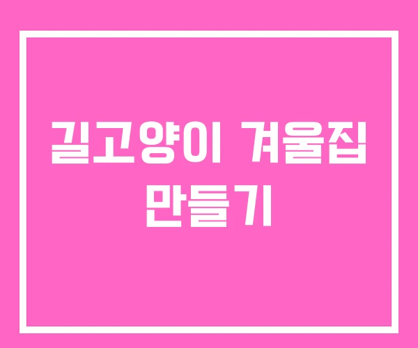 길고양이 겨울집 만들기