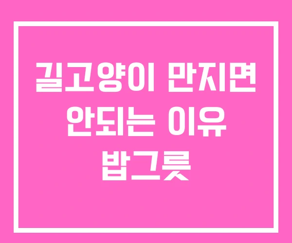 길고양이 만지면 안되는 이유 밥그릇