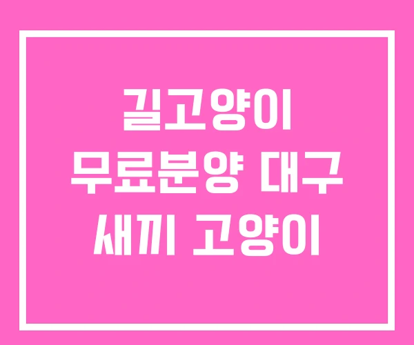 길고양이 무료분양 대구 새끼 고양이