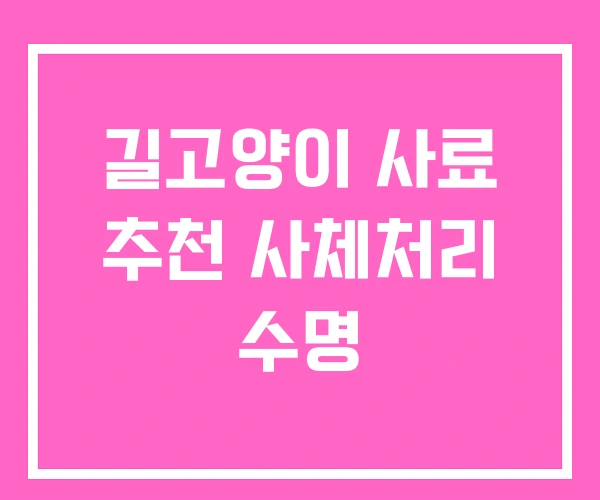 길고양이 사료 추천 사체처리 수명