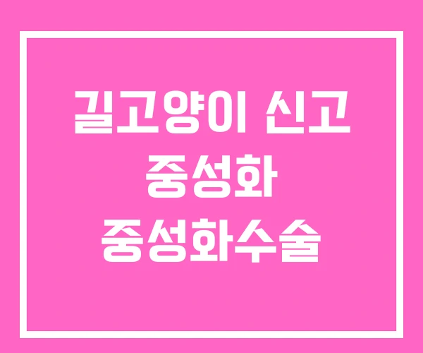 길고양이 신고 중성화 중성화수술 길고양이 신고 중성화 중성화수술