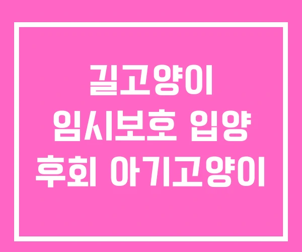 길고양이 임시보호 입양 후회 아기고양이