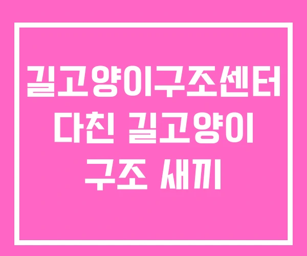 길고양이구조센터 다친 길고양이 구조 새끼