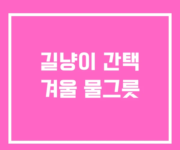 길냥이 간택 겨울 물그릇