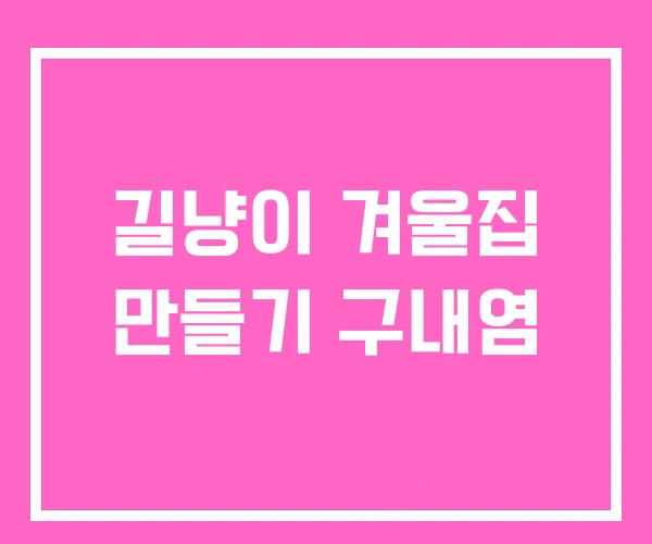 길냥이 겨울집 만들기 구내염