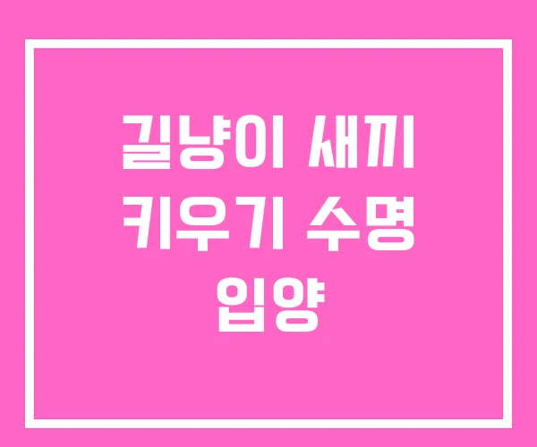 길냥이 새끼 키우기 수명 입양