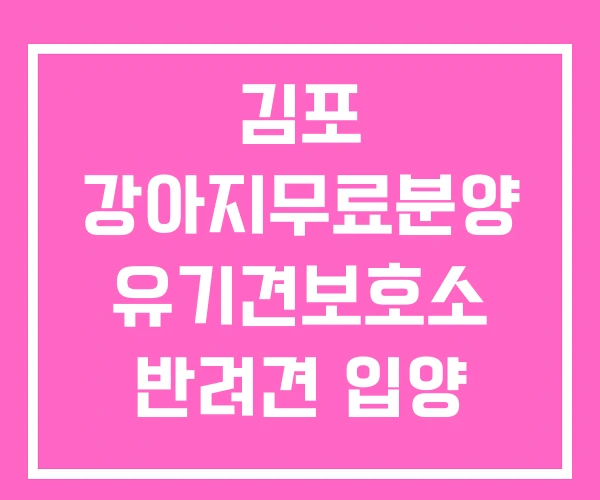 김포 강아지무료분양 유기견보호소 반려견 입양