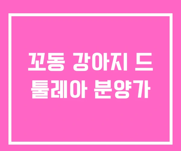 꼬동 강아지 드 툴레아 분양가