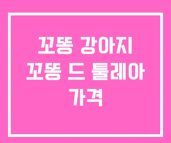 꼬똥 강아지 꼬똥 드 툴레아 가격