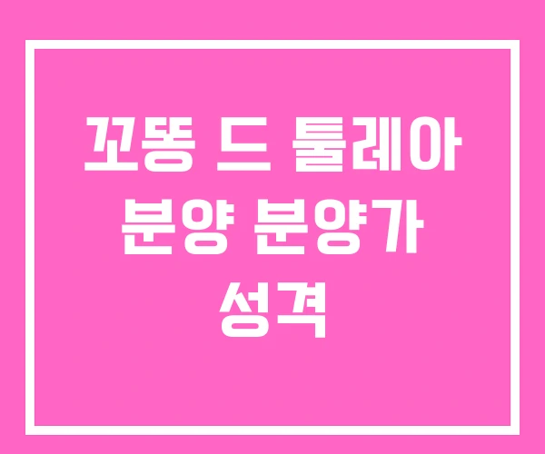 꼬똥 드 툴레아 분양 분양가 성격 꼬똥 드 툴레아 분양 분양가 성격