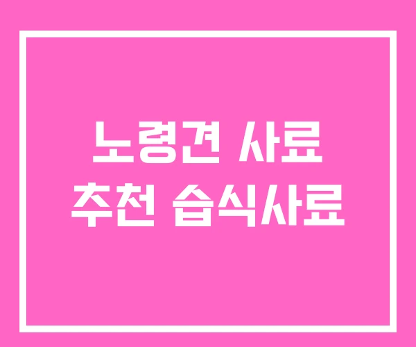 노령견 사료 추천 습식사료