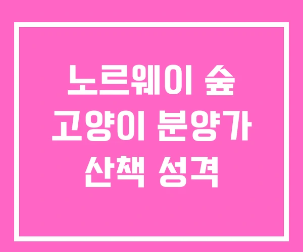 노르웨이 숲 고양이 분양가 산책 성격 노르웨이 숲 고양이 분양가 산책 성격