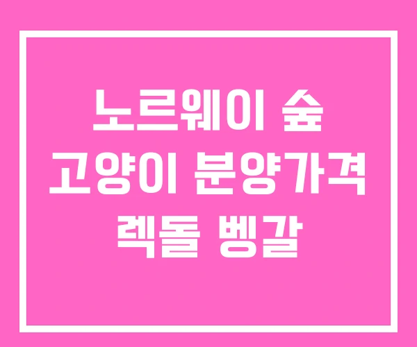 노르웨이 숲 고양이 분양가격 렉돌 벵갈