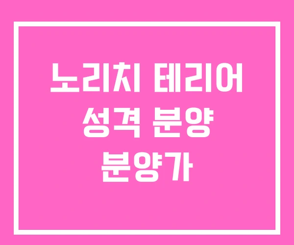 노리치 테리어 성격 분양 분양가