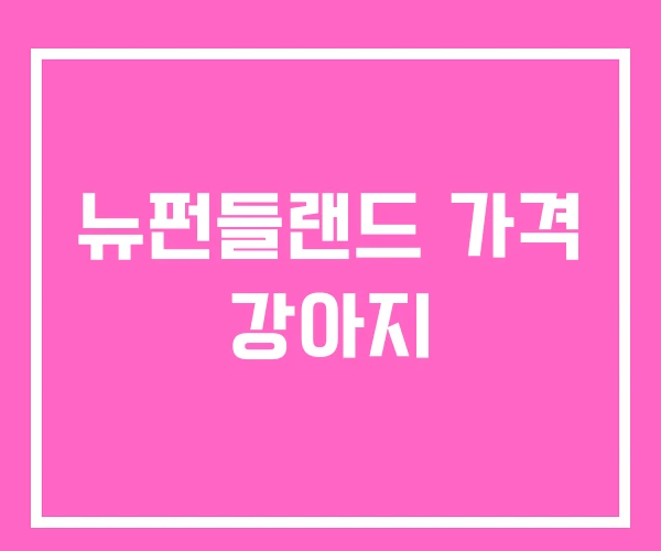 뉴펀들랜드 가격 강아지