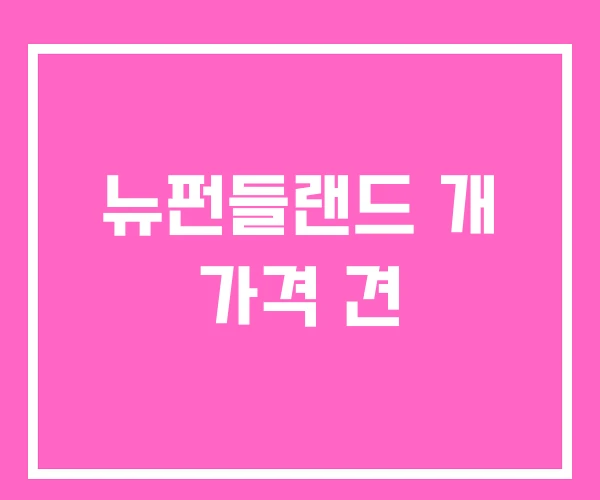 뉴펀들랜드 개 가격 견 뉴펀들랜드 개 가격 견