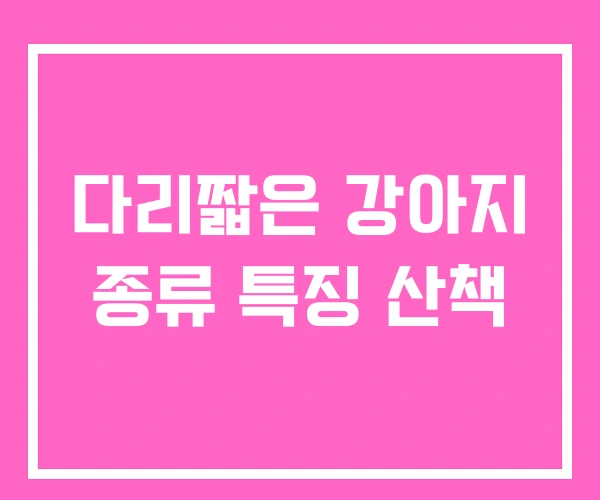 다리짧은 강아지 종류 특징 산책