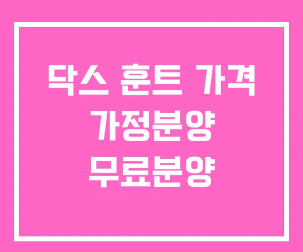 닥스 훈트 가격 가정분양 무료분양