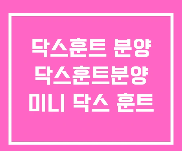 닥스훈트 분양 닥스훈트분양 미니 닥스 훈트 닥스훈트 분양 닥스훈트분양 미니 닥스 훈트