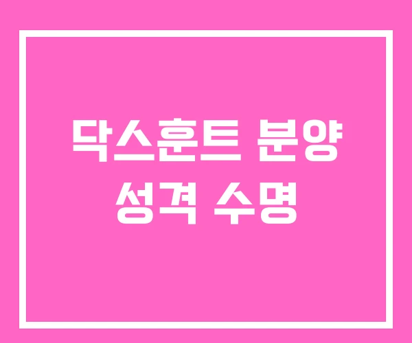 닥스훈트 분양 성격 수명