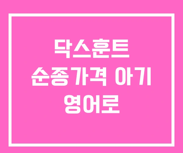 닥스훈트 순종가격 아기 영어로