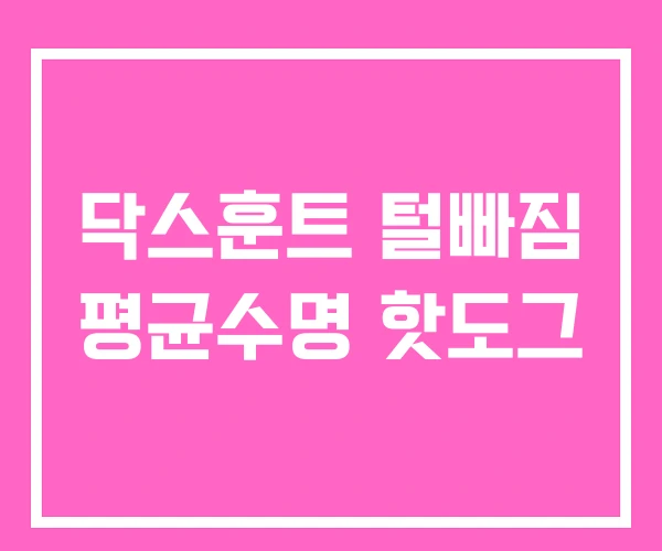 닥스훈트 털빠짐 평균수명 핫도그