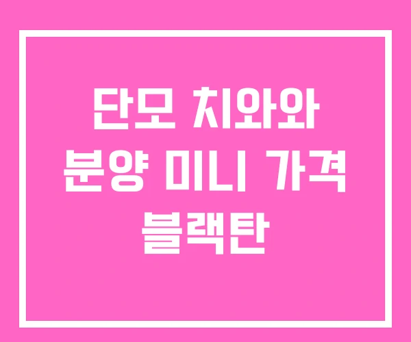 단모 치와와 분양 미니 가격 블랙탄